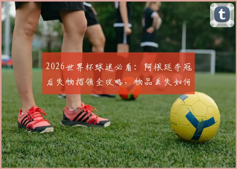 2026世界杯球迷必看：阿根廷夺冠后失物招领全攻略，物品丢失如何高效找回（附真实成功案例）