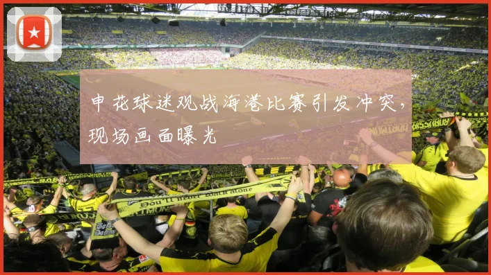 申花球迷观战海港比赛引发冲突,现场画面曝光