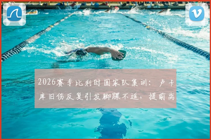 2026赛季比利时国家队集训：卢卡库旧伤反复引发脚踝不适，提前离场训练引担忧，球员健康状况深度分析
